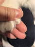 柒哦寵物指甲剪貓咪指甲剪專用貓指甲鉗剪指甲圓孔指甲刀新手小盲剪 紅白圓孔指甲剪+銼刀 曬單實拍圖