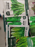 壽禾菠菜種子苗秋季蔬菜種籽陽(yáng)臺(tái)家庭種植 菠賽冬紅根圓葉菠菜種子25g 曬單實(shí)拍圖