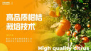 ppt代制作高端PPT代做排版美化設計定制幻燈片醫學(xué)述職報告幫忙做工作匯報企業(yè)宣傳答辯演講課件模板 ppt代制作5 曬單實(shí)拍圖