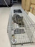 恒智佳捕貓籠抓貓神器黃鼠狼捕捉器救助誘捕網籠子大號自動折疊踏板捕大老鼠籠 鍍鋅折疊中號籠（66*23*26cm） 曬單實拍圖