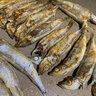 【JD&順豐】 多春魚生鮮 滿籽多籽 新鮮魚鮮活凍特大海魚海鮮 多春魚 30斤 家庭裝 高端食材 曬單實拍圖
