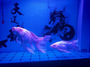 炫科水泵25新款A(yù)C變頻水泵省電超靜音水陸兩用魚(yú)缸潛水泵過(guò)濾循環(huán)泵 炫科變頻水泵40W6000L/H【送19mm水管】 曬單實(shí)拍圖