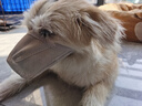 卉亦暮狗狗嘴套防咬叫神器小狗防亂吃泰迪柯基馬犬大小型犬狗用寵物口罩 升級款全遮擋網(wǎng)格嘴套-灰色 S【嘴圍22-25cm】建議15-25斤 曬單實(shí)拍圖