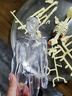 浮造可拆卸拼裝人體器官模型結(jié)構(gòu)骨骼3d骨架內(nèi)臟醫(yī)學解剖早教兒童玩具 全透明【28cm全身模型】 曬單實拍圖