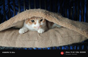 猩球衛士【2片】AR增透適用小米15Ultra鏡頭膜絲印防眩小米15U后置攝像頭保護膜高清畫(huà)質(zhì)鋼化玻璃防摔貼膜 15Ultra AR增透丨高清大視窗丨買(mǎi)一送一 【關(guān)注店鋪】會(huì )員專(zhuān)享18個(gè)月有限質(zhì)保 曬單實(shí)拍圖