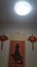 歐普源興全光譜led吸頂燈護(hù)眼客廳燈圓形臥室燈餐廳陽臺(tái)簡約現(xiàn)代中山燈具 圓40cm白光36瓦 護(hù)眼全光譜 曬單實(shí)拍圖