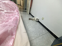 董小喵床底擋板隔板防貓封床下PVC擋板沙發(fā)底防塵書(shū)桌縫隙亞克力擋板L形 長(zhǎng)度100厘米 高25厘米 底寬4厘米 曬單實(shí)拍圖