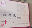 謹(jǐn)銳手足耳模型反射區(qū)穴位足底按摩模型腳耳朵診所衛(wèi)校參考教學(xué)刻字 20CM足模型 曬單實(shí)拍圖