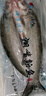 源頭地丹江口翹嘴鲌魚(yú)新鮮生態(tài)淡水十堰大白刁子魚(yú)白魚(yú)整條送禮湖北特產(chǎn) 6斤/裝（4-6條） 3kg 曬單實(shí)拍圖