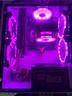 昂臺英特爾酷睿i5/i7升i9級十八核36線(xiàn)多開(kāi)RTX3060/4060獨顯游戲電競辦公臺式電腦主機組裝整機全套 單主機【五年質(zhì)保+送鍵鼠套裝】 一】四核酷睿i5/16G/256G固態(tài) 曬單實(shí)拍圖