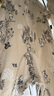 Kordear嬰兒衣服春季寶寶中開連體衣印花長袖純棉哈衣爬服 森林游樂記 1件連體衣 73cm 曬單實(shí)拍圖