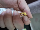 周六福（ZLF）  黃金戒指女款足金999花朵桃花指環(huán) 計價(jià) 12號-2.68g 曬單實(shí)拍圖