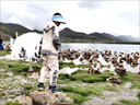 G.DUCKKIDS童裝男童套裝春秋季兒童秋裝套裝中大童小男孩衣服學生運動兩件套 字母款杏色qmmsmgi 110 建議4-5歲【95-105cm】 曬單實拍圖