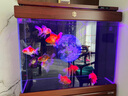 森森（SUNSUN）【包安裝】新款魚(yú)缸客廳大型玻璃金魚(yú)缸生態(tài)底過(guò)濾免換水水族箱 80長(cháng)35cm寬升級豪華底濾（剛果柚木色） 曬單實(shí)拍圖