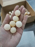 2024年頭窩甲魚蛋新鮮食用寶寶輔食農(nóng)家原生態(tài)新鮮農(nóng)場(chǎng)直供高蛋白 3g 1人份 甲魚蛋100枚裝（送二十枚防破損） 曬單實(shí)拍圖