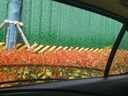 CTRLEND汽車防蚊紗窗紗網(wǎng)車窗防蚊網(wǎng)遮陽(yáng)窗簾防蚊蟲(chóng)車用蚊帳車載防蟲(chóng)隱私 前后側(cè)4片【轎車】 曬單實(shí)拍圖