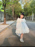 安妮優(yōu)兒（Anneyol）女童春秋季艾莎公主裙2025新款兒童小女孩蓬蓬紗蛋糕裙愛莎連衣裙 粉紅色 120 曬單實(shí)拍圖
