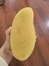 竹哈哈【順豐】海南金煌芒果特大果新鮮水仙芒大青芒果端午水果禮盒三亞 5斤精選大果 曬單實拍圖
