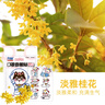 口罩香氛帖口罩清新貼清涼芬芳檸檬薄荷香卡通夏季防口臭口罩貼紙 清新桂花36貼 曬單實拍圖