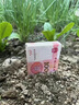 慈靈閣朱砂吊墜2025年生肖屬牛屬虎護身符虛空藏菩薩項鏈飾品男女禮物 曬單實拍圖
