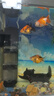 金格羽德國魚(yú)缸過(guò)濾器內置凈水循環(huán)三合一水泵小型免換水增氧過(guò)濾一體機 8W【側吸款】二層(適合40-60cm魚(yú)缸) 曬單實(shí)拍圖