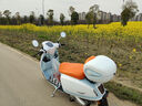 臺(tái)田2025款破界小卡拉125cc復(fù)古小踏板摩托車可上牌國四電噴燃油兩輪 白藍(lán)【高配版】25款 曬單實(shí)拍圖