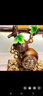美維斯新中式稱(chēng)心如意葫蘆擺件入戶(hù)進(jìn)門(mén)玄關(guān)客廳電視柜地臺酒柜子裝飾品 五福臨門(mén)稱(chēng)心如意（棕色） 曬單實(shí)拍圖