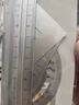 得力金屬套尺尺子4件套小學(xué)生用三角尺直尺格尺量角器考試專用畫圖用繪圖四件套一年級多功能學(xué)生文具高顏值 【袋裝】冰川銀-15cm 曬單實拍圖