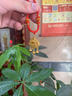 曼舒愛999足金長(zhǎng)命鎖黃金吊墜小金鎖項(xiàng)鏈女無氫鈴鐺平安鎖包送女友禮物 足金吉祥如意吊墜 +金色項(xiàng)鏈 曬單實(shí)拍圖