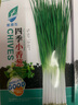四季小香蔥種子蔥種庭院陽(yáng)臺(tái)盆栽小蔥蔬菜種子籽四季易播種菜種子 小香蔥種子【10包 約3000?！?曬單實(shí)拍圖