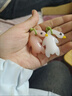 QUEENJOY烤鴨擺件變色烤鴨掛件感溫變色鑰匙扣車內(nèi)裝飾品擺件創(chuàng)意掛飾鴨 變色烤鴨兩只裝 曬單實拍圖