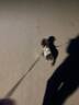 FIDAFIDA新款自動伸縮牽引繩狗狗貓咪小型犬迷你牽引繩遛狗貓寵物用品 FiDa新品口袋系列自動伸縮白色 繩長2.5米帶反光絲適合30斤內(nèi) 曬單實拍圖