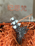 紀思梵鈴蘭花發(fā)夾頭飾女高端2025款發(fā)卡抓夾后腦勺夾子鯊魚(yú)夾生日禮物 鈴蘭花蝴蝶發(fā)夾（禮盒裝） 曬單實(shí)拍圖