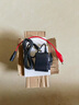 攜顏適用1.5V1A電源適配器灶爐4.5V3V3.3V1000MA干電池鱷魚夾6V2A 1.5V1A+DC母轉小鱷魚夾1米 曬單實拍圖
