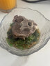 靈澈內(nèi)蒙古羊蝎子新鮮帶肉散養(yǎng)羊肉羊脊骨 羊蝎子4斤 曬單實(shí)拍圖
