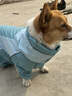 嬉皮狗（hipidog）全包撞色柯基沖鋒雨衣中小型犬臘腸犬四腳狗狗雨衣雨天寵物狗衣服 邦迪藍(lán)【卡碼建議拍大】 XL （建議體重25-30斤） 曬單實(shí)拍圖