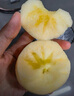 阿克蘇蘋果;AKSU；AKESU APPLE正宗阿克蘇魯麗嘎啦蘋果【順豐】紅旗坡新鮮時令紅富士蘋果園直發(fā) 新疆嘎啦小蘋果5斤【70-75mm】 曬單實拍圖