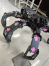 幻爾 樹(shù)莓派5/4B六足蜘蛛仿生機器人 SpiderPi可編程舵機機械臂 OpenCV智能AI視覺(jué)識別多足機器人套件 標準版 樹(shù)莓派 4B/4G 曬單實(shí)拍圖