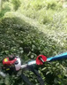 五羊臻隆進(jìn)口四沖程綠籬機(jī)修剪王背負(fù)式茶樹修剪機(jī)采茶機(jī)園林綠化汽油機(jī) 二沖程單刃輕修（易啟動款） 曬單實拍圖