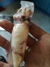 新鮮全籽籽烏帶籽海兔子滿籽烏魚筆管魚墨魚魷魚八爪魚斗魚批發(fā) 全籽籽烏3斤【凈重300g/斤】 曬單實拍圖