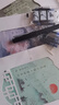 金枝葉簪花小楷字帖女生字體漂亮詩(shī)經(jīng)練字帖本大學(xué)生成人楷書(shū)鋼筆硬筆書(shū)法初學(xué)者臨摹描紅 曬單實(shí)拍圖