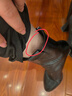 斷碼清倉紅青娗高跟短靴女皮鞋粗跟防水臺加絨馬丁靴尖頭軟皮女鞋 黑色單里 跟高6.5厘米 36 (230mm) 曬單實(shí)拍圖