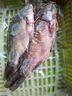 云映漁舟 微山湖生態(tài)大鯽魚(凈膛) 生態(tài)活魚現(xiàn)殺淡水魚生鮮孕產(chǎn)婦下奶燉湯 大號鯽魚（每斤2-3條） 5斤（殺好損耗15％） 曬單實拍圖