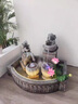 DAFIFY歐式大象魚池流水?dāng)[件循環(huán)噴泉假山風(fēng)水球陽臺花園造景開業(yè)禮 灰色款 曬單實(shí)拍圖