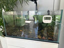 京悠雨魚(yú)缸溫度計高精度龜缸草缸爬寵水族箱缸內測水溫計養魚(yú)專(zhuān)用外貼 【基礎款】高低溫記錄/靈敏機芯/持久續航 曬單實(shí)拍圖
