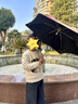 林下春雪兒童雨傘太陽(yáng)傘遮陽(yáng)傘防曬傘防紫外線(xiàn)晴雨兩用長(cháng)柄傘男女孩直桿傘 卡通小黃鴨【圓角防戳】晴雨兩用 手動(dòng)防夾開(kāi)關(guān)·趣味滑輪·直徑91 曬單實(shí)拍圖
