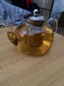 美斯尼 泡茶壺玻璃煮茶壺器茶具不銹鋼過濾網(wǎng)帶把手耐熱加厚玻璃茶具 單壺1200毫升 曬單實拍圖
