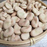 蠶豆生的曬干今年新貨新鮮蠶豆羅漢豆佛豆大豆高原特產(chǎn)手工篩選生 蠶豆【1斤】 曬單實(shí)拍圖