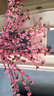 花敘仿真桃花枝客廳商場落地?cái)[放桃花樹裝飾插花梅花人造假花假桃樹枝 長款1.2m粉色桃花(10支) 曬單實(shí)拍圖