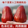 騎猴趕馬黑金剛蓮霧(順豐)當(dāng)季新鮮當(dāng)季熱帶水果送禮海南/福建珍珠蓮霧 凈重3斤 精選裝【單果約60g】 團購/售后詳詢客服 曬單實拍圖